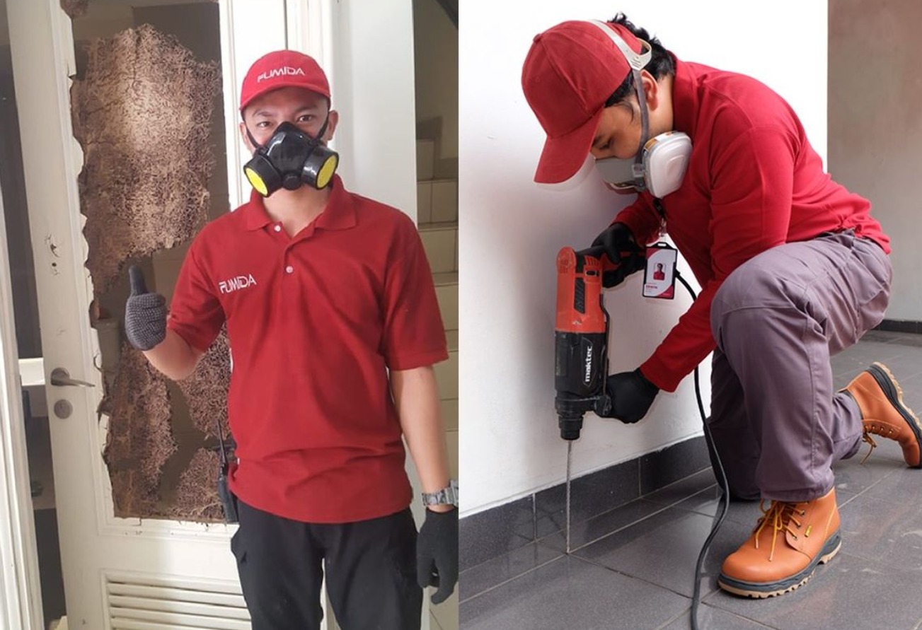 Cara Cerdas Menemukan Jasa anti rayap Terbaik